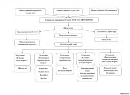 Совет организации ДЮСШ